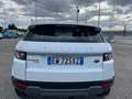 Land Rover Range Rover Evoque 5p 2.2 td4 Pure Tech Pack 150cv Bianco - thumbnail 6