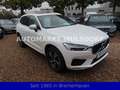 Volvo XC60 R Design AWD,1Hd,Scheckh,Pano,Standh,Lede Blanc - thumbnail 3