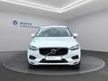 Volvo XC60 D4 Momentum Pro Geartronic Weiß - thumbnail 2