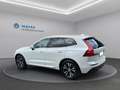 Volvo XC60 D4 Momentum Pro Geartronic Weiß - thumbnail 7