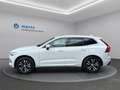 Volvo XC60 D4 Momentum Pro Geartronic Weiß - thumbnail 8