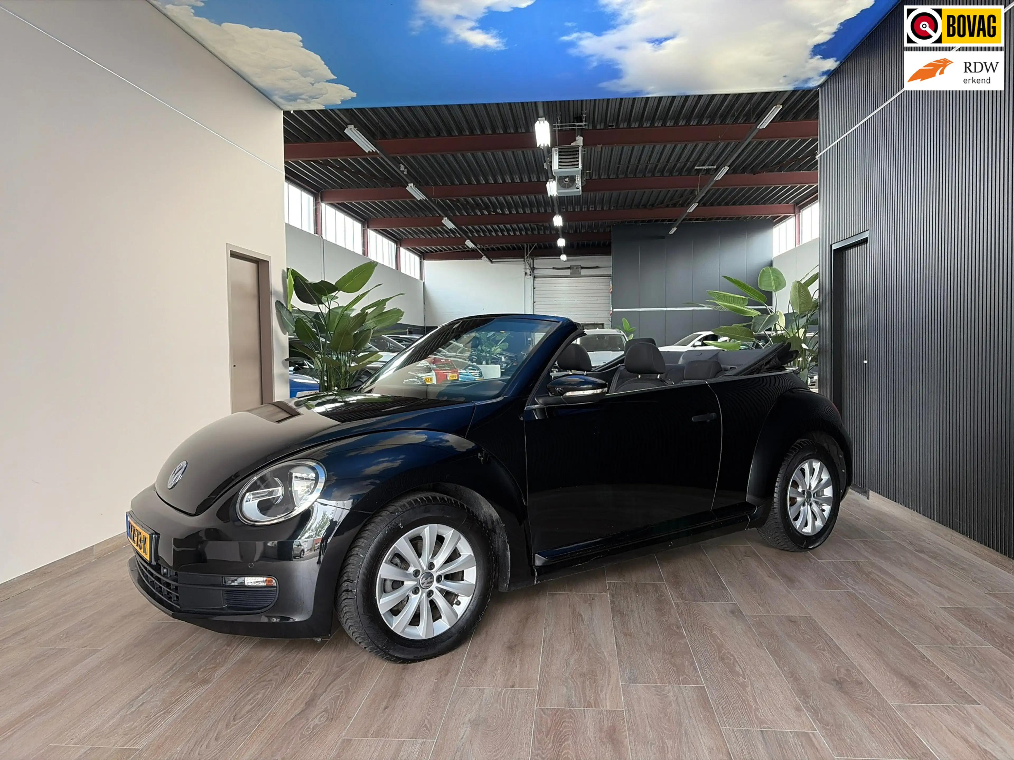 Volkswagen Beetle Cabriolet 1.2 TSI Design, Apple carplay/camera/sto