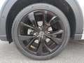 Volkswagen Taigo R-Line 1.5 TSI DSG NAV KAM ACC DWA PDC SHZ Grau - thumbnail 10