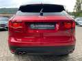 Jaguar F-Pace F-PACE  AWD  R SPORT/MERIDIAN/NAVI/KAMERA/PANO Rouge - thumbnail 9