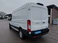 Ford Transit Transit Kasten 2,0 EcoBlue HD L3H2 350 Weiß - thumbnail 3