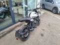 Moto Morini STR Seiemmezzo Weiß - thumbnail 4