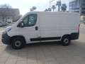 Fiat Ducato Fg. 33 2.2Mjt L1 H1 Panelado 140CV Blanco - thumbnail 3