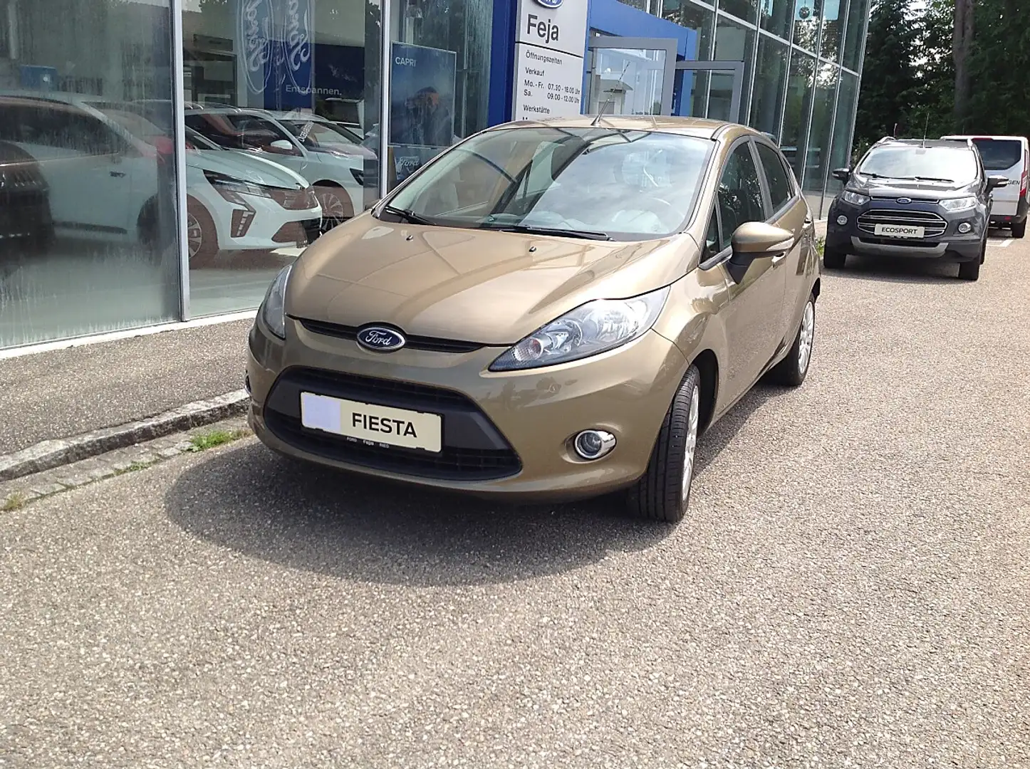 Ford Fiesta Trend 1,25 Braun - 1
