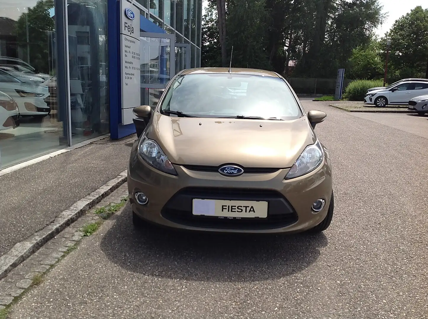Ford Fiesta Trend 1,25 Braun - 2