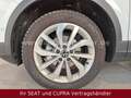 Volkswagen T-Roc Style Blanc - thumbnail 19