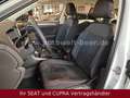 Volkswagen T-Roc Style Blanc - thumbnail 10