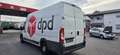 Fiat Ducato 35 L3H4 130 Multijet Flex-Floor - thumbnail 6