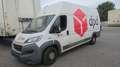 Fiat Ducato 35 L3H4 130 Multijet Flex-Floor - thumbnail 1