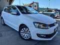 Volkswagen Polo 1.2 70CV 5P COMFORTLINE Biały - thumbnail 12