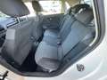 Volkswagen Polo 1.2 70CV 5P COMFORTLINE Biały - thumbnail 11
