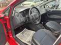 SEAT Ibiza 5p 1.2 Business 70cv - thumbnail 7