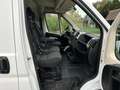 Fiat Ducato 33 2.3 150PK MultiJet L3H2 Camera, Trekhaak 3 zits Blanc - thumbnail 6