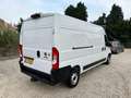 Fiat Ducato 33 2.3 150PK MultiJet L3H2 Camera, Trekhaak 3 zits Wit - thumbnail 3