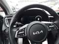 Kia XCeed Platinum Edition PHEV Panorama Navi Leder Digitale Grigio - thumbnail 12