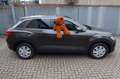 Volkswagen T-Roc 1.0 TSI 1.Hand Inspektion neu! Noir - thumbnail 10