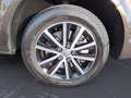 Volkswagen T6 Multivan 2.0 TDI DSG Business AHK ACC-FrontAs Braun - thumbnail 12
