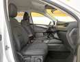 Ford Kuga 1.5 EcoBlue 120 CV 2WD Titanium GAR/UFF 2024 Blanc - thumbnail 10