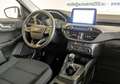 Ford Kuga 1.5 EcoBlue 120 CV 2WD Titanium GAR/UFF 2024 Blanc - thumbnail 11