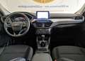 Ford Kuga 1.5 EcoBlue 120 CV 2WD Titanium GAR/UFF 2024 Blanc - thumbnail 12
