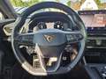 CUPRA Formentor VZ 2.0 TSI DSG AHK BREMBO LEDER PANO Schwarz - thumbnail 21
