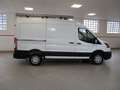 Ford Transit FWD 310 2.0 TDCI(105CV)L2-H2 TREND-UNIPROPRIETARIO Bianco - thumbnail 2
