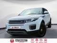 Land Rover Range Rover Evoque 2.2L TD4 Pure 4x4 Blanco - thumbnail 1
