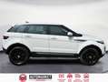 Land Rover Range Rover Evoque 2.2L TD4 Pure 4x4 Blanco - thumbnail 6