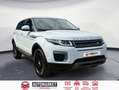 Land Rover Range Rover Evoque 2.2L TD4 Pure 4x4 Blanco - thumbnail 7
