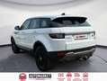 Land Rover Range Rover Evoque 2.2L TD4 Pure 4x4 Blanco - thumbnail 3
