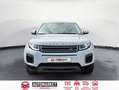 Land Rover Range Rover Evoque 2.2L TD4 Pure 4x4 Blanco - thumbnail 8
