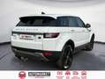 Land Rover Range Rover Evoque 2.2L TD4 Pure 4x4 Blanco - thumbnail 5