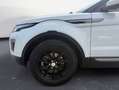 Land Rover Range Rover Evoque 2.2L TD4 Pure 4x4 Blanco - thumbnail 9