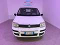 Fiat Panda 1.1 Active Blanc - thumbnail 1