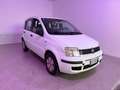 Fiat Panda 1.1 Active Blanc - thumbnail 2