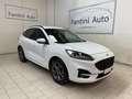 Ford Kuga ST-Line X 2.0d 120cv c.auto-Ok Neopat-LEGGI SOTTO Weiß - thumbnail 1