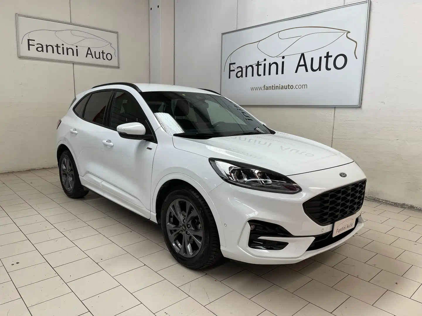 Ford Kuga ST-Line X 2.0d 120cv c.auto-Ok Neopat-LEGGI SOTTO Weiß - 1