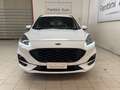 Ford Kuga ST-Line X 2.0d 120cv c.auto-Ok Neopat-LEGGI SOTTO Weiß - thumbnail 10
