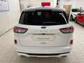 Ford Kuga ST-Line X 2.0d 120cv c.auto-Ok Neopat-LEGGI SOTTO Weiß - thumbnail 4