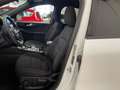Ford Kuga ST-Line X 2.0d 120cv c.auto-Ok Neopat-LEGGI SOTTO Weiß - thumbnail 8