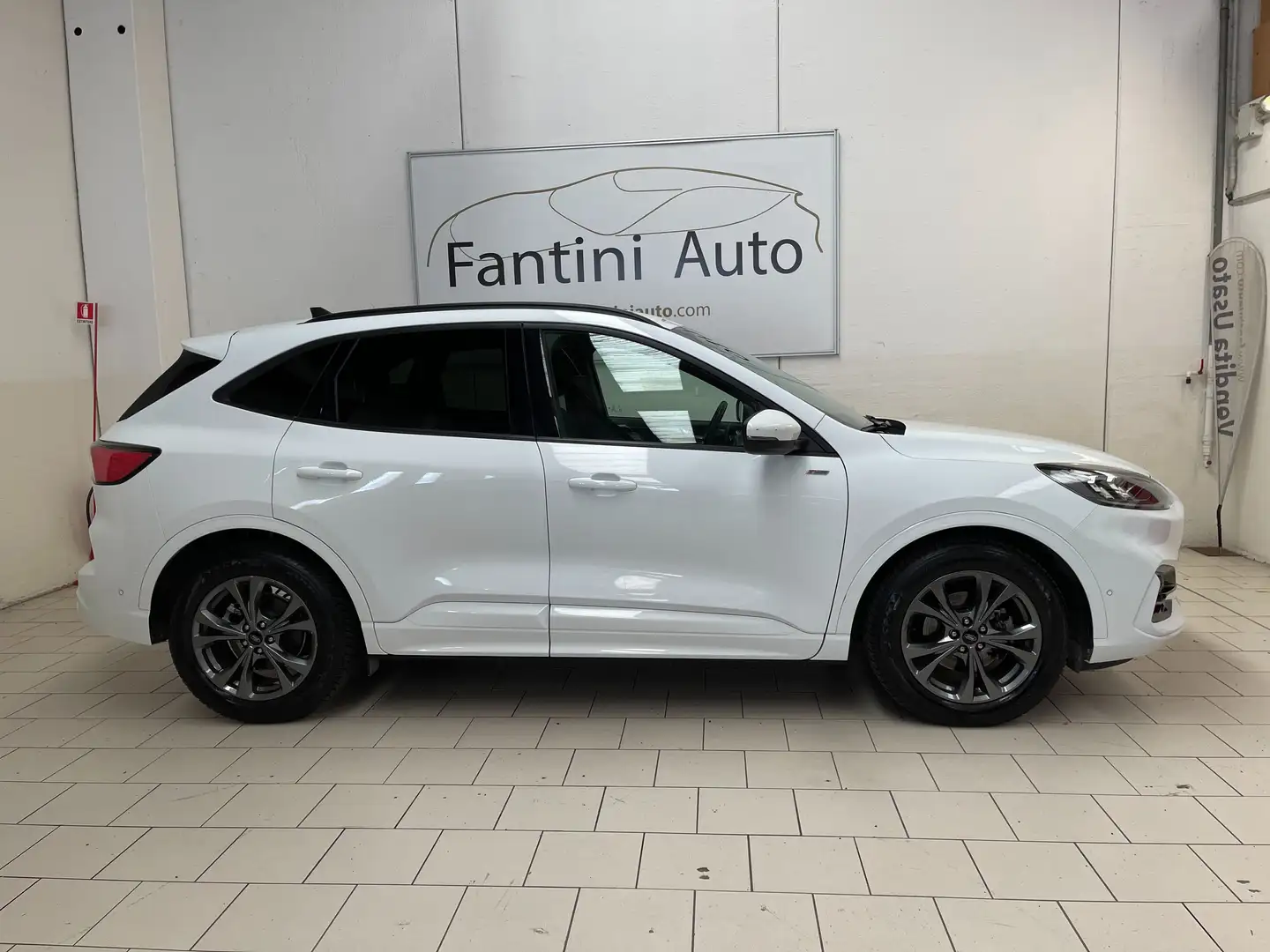 Ford Kuga ST-Line X 2.0d 120cv c.auto-Ok Neopat-LEGGI SOTTO Weiß - 2