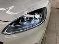 Ford Kuga ST-Line X 2.0d 120cv c.auto-Ok Neopat-LEGGI SOTTO Weiß - thumbnail 11