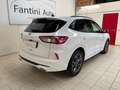Ford Kuga ST-Line X 2.0d 120cv c.auto-Ok Neopat-LEGGI SOTTO Weiß - thumbnail 3