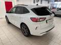 Ford Kuga ST-Line X 2.0d 120cv c.auto-Ok Neopat-LEGGI SOTTO Weiß - thumbnail 5