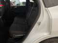 Ford Kuga ST-Line X 2.0d 120cv c.auto-Ok Neopat-LEGGI SOTTO Weiß - thumbnail 9