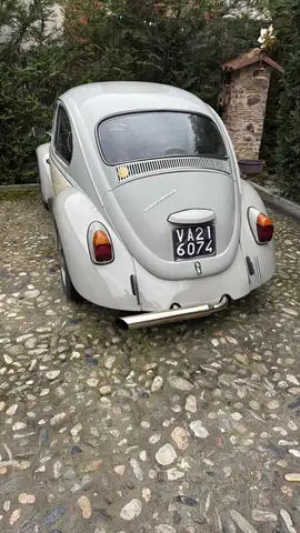 Volkswagen Maggiolino